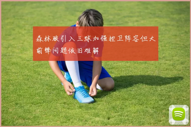 森林狼引入三球加强控卫阵容但大前锋问题依旧难解